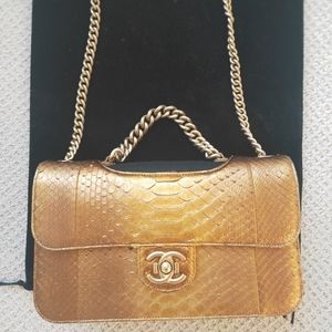 Chanel Snake skin